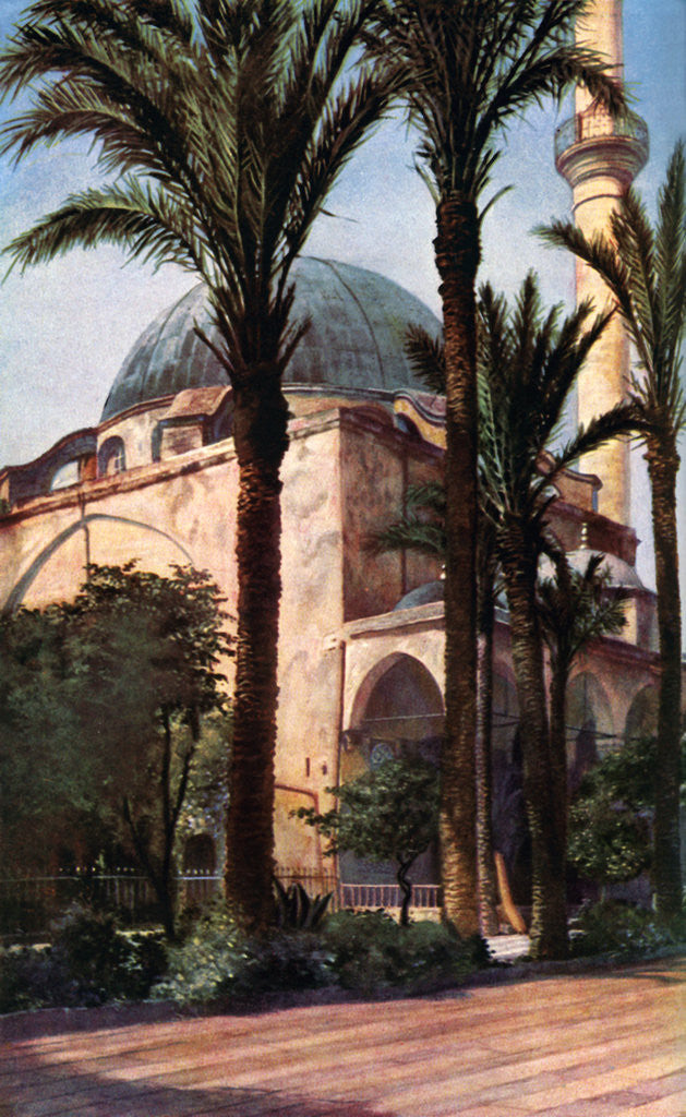 Detail of Jezzar Pasha mosque, Acre, Palestine by Donald McLeish