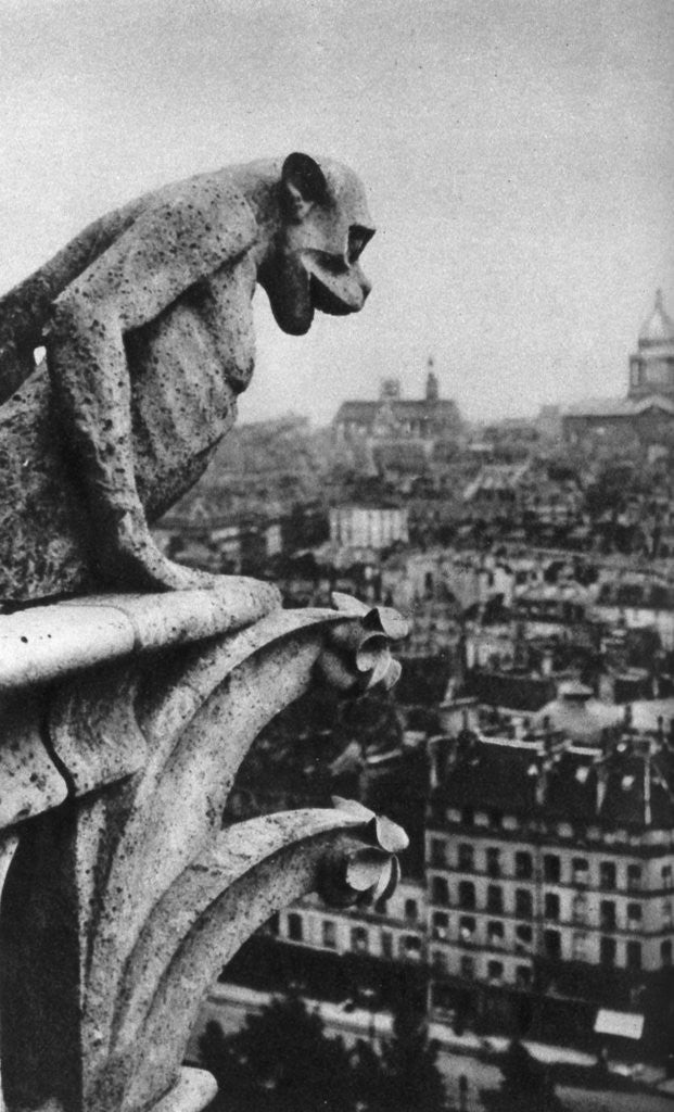 Detail of Stone demon, Notre Dame, Paris, France by Donald McLeish