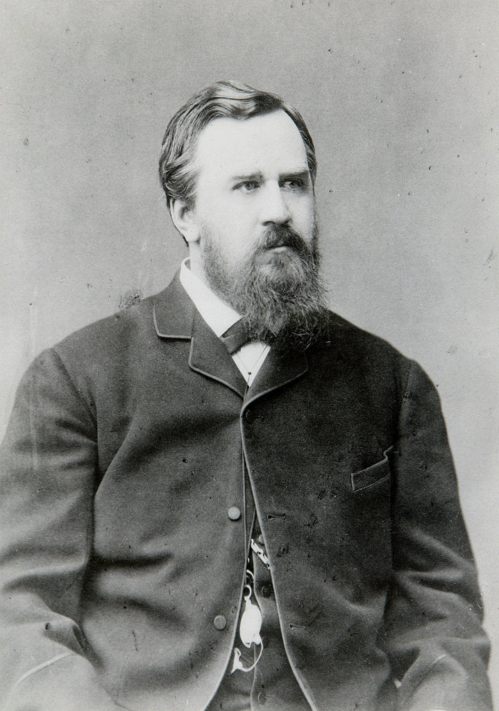 Detail of Leonid Maykov, Russian philologist and academician, 19th century by Unknown