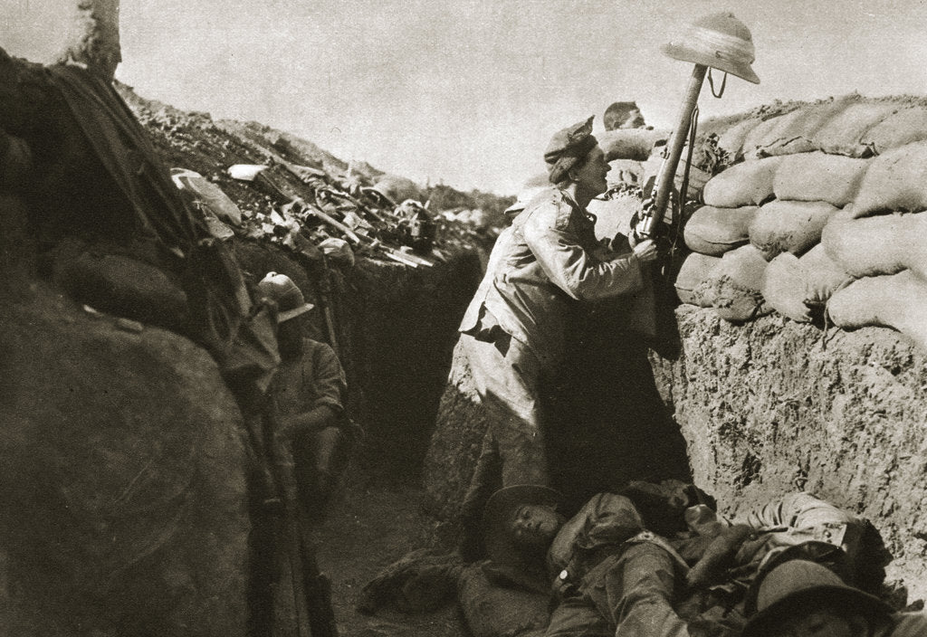 Detail of A Royal Irish Fusilier teases a Turkish sniper, Gallipoli, Turkey, World War I, c1915-c1916 by Unknown