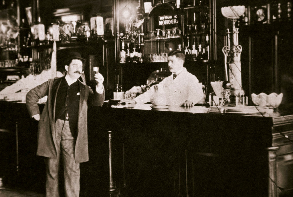 Detail of The Hoffman House Bar by Anonymous