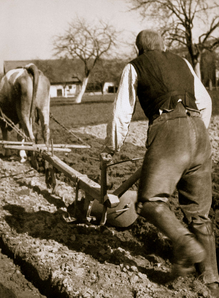 Detail of A farmer at work, ploughing a field by Anonymous