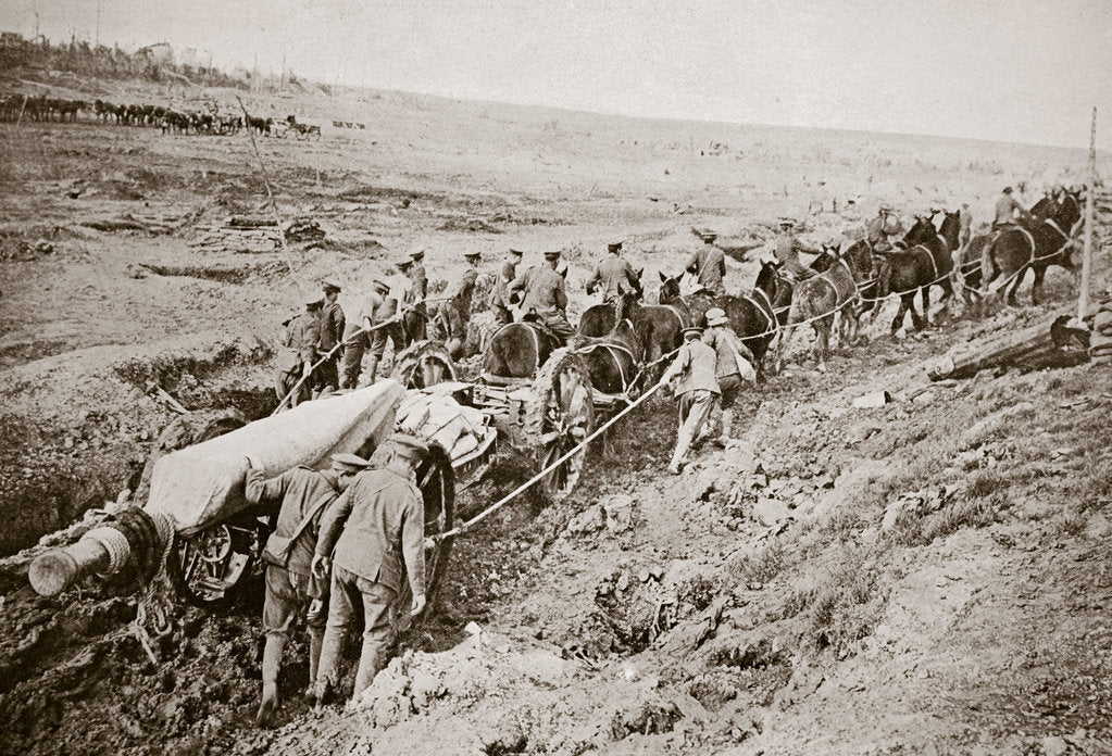 Detail of Pulling a big gun with a twelve horse team and the help of the gun crew, France, World War I, 1916 by Unknown
