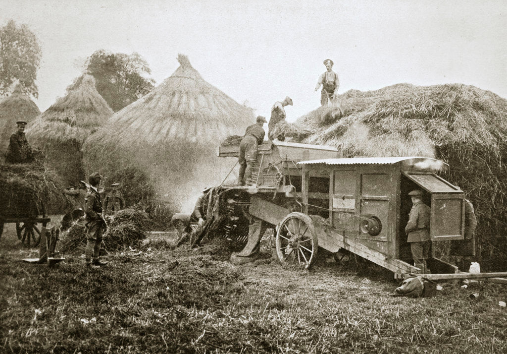 Detail of Threshing for straw for soldiers' use by Anonymous