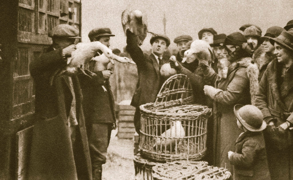 Detail of Buying live poultry at a 'Pedlars' Market' at the Caledonian Market by Anonymous