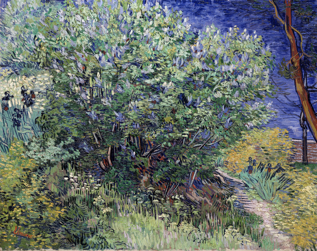 Detail of Lilac Bush, 1889. by Vincent van Gogh