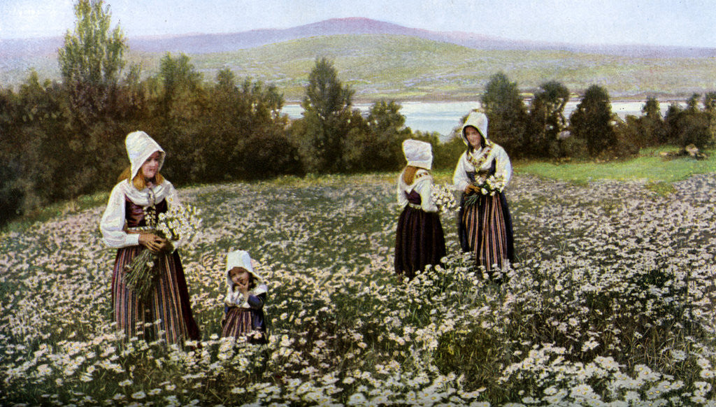 Detail of Picking flowers in a meadow near Leksand, Sweden by Anonymous