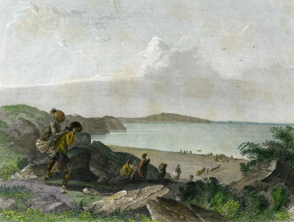 Detail of Nadowaoua by R Hinshelwood