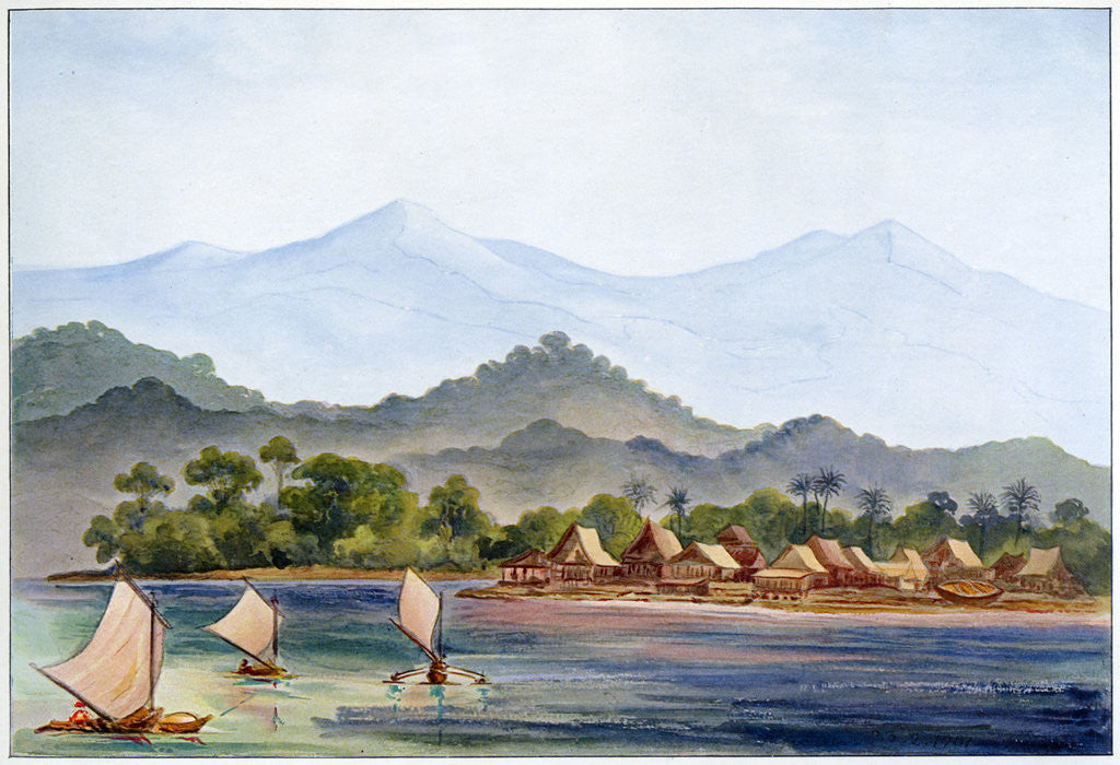 Detail of Village, Sumatra, Indonesia by Ernst Haeckel