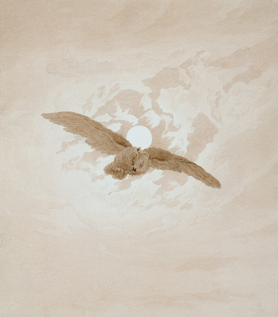 Detail of Owl Flying against a Moonlit Sky, 1836-1837. by Caspar David Friedrich