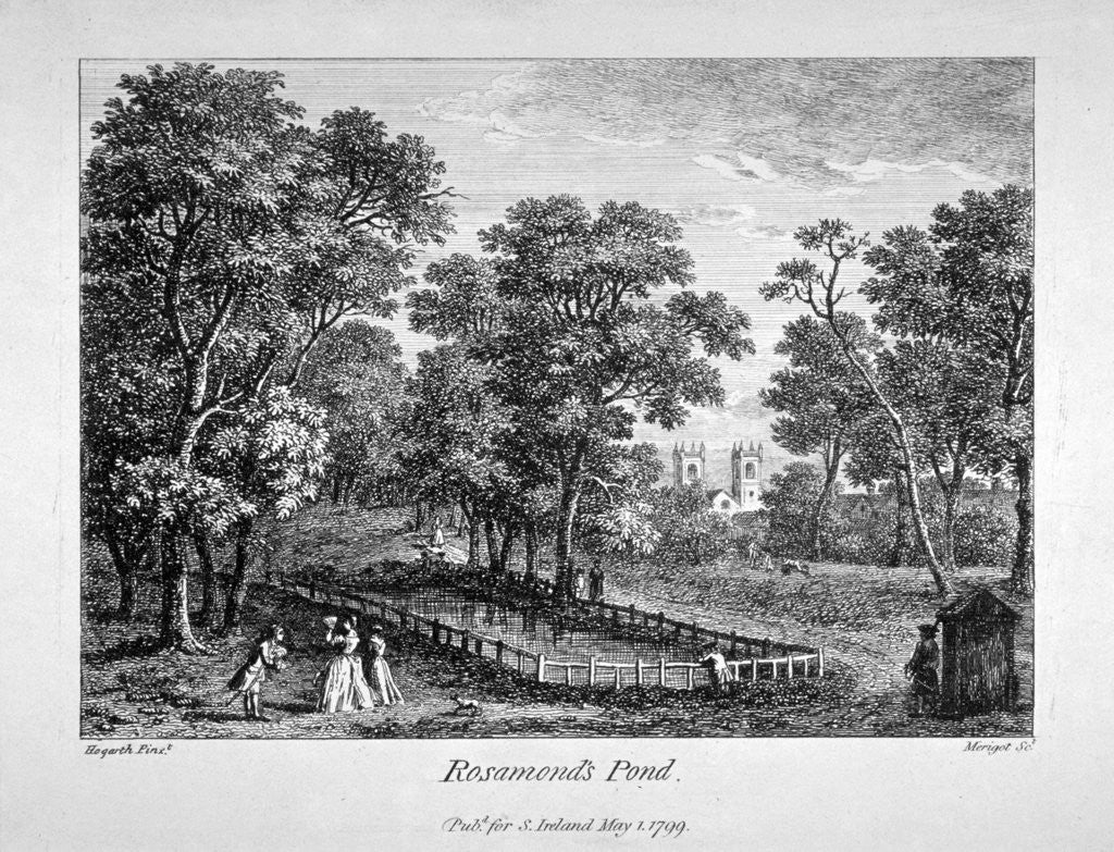 Detail of Rosamond's Pond, St James's Park, Westminster, London by M Merigot
