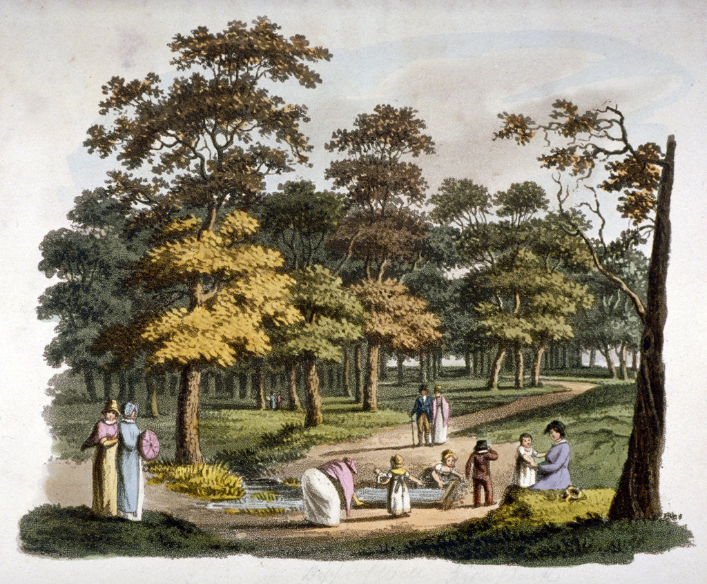 Detail of View of the 'dipping' well in Hyde Park, Westminster, London by William Pickett