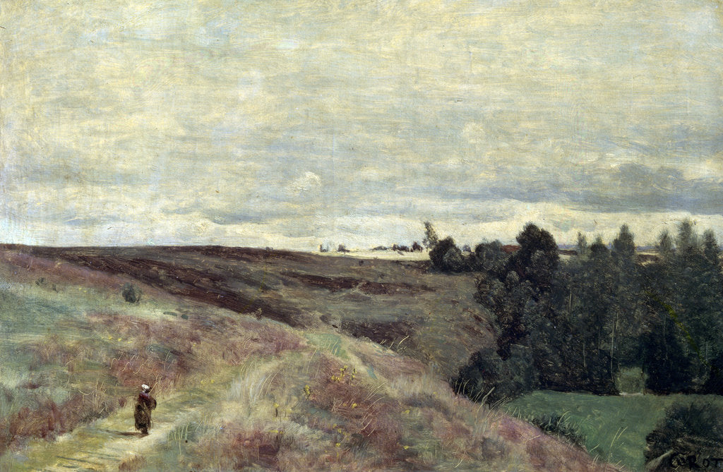 Detail of Heather covered hills near Vimoutier, 1860s by Anonymous