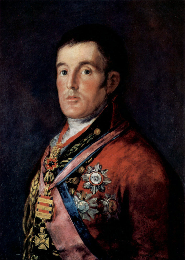 Detail of Portrait of Field Marshal Arthur Wellesley, 1st Duke of Wellington by Francisco Goya