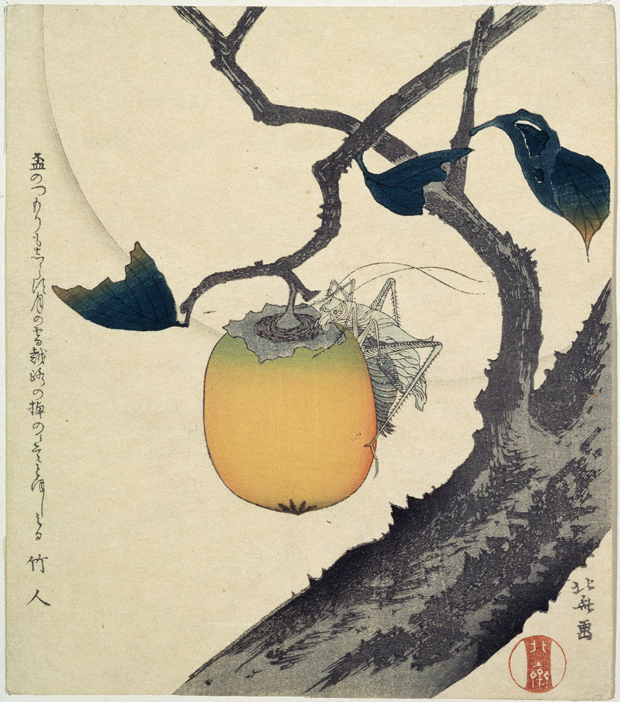 Detail of Moon, Persimmon and Grasshopper by HOKUSAI