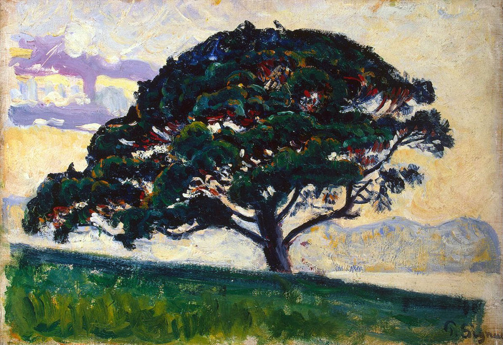 Detail of Large Pine, Saint-Tropez, 1892-1893. by Paul Signac