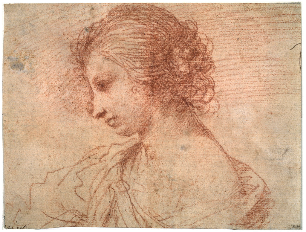 Detail of Breast portrait of a young female, 17th century by Guercino