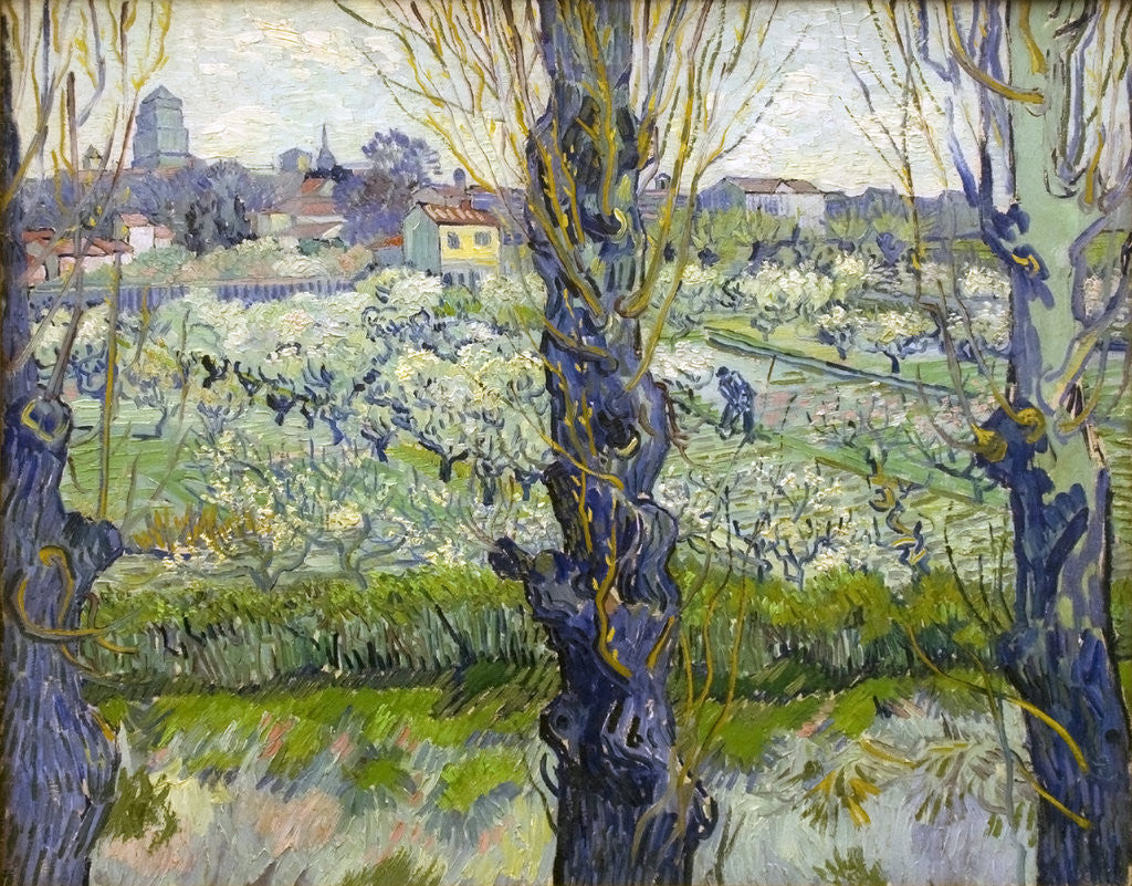 Detail of Orchard in Blossom with View of Arles by Vincent Van Gogh