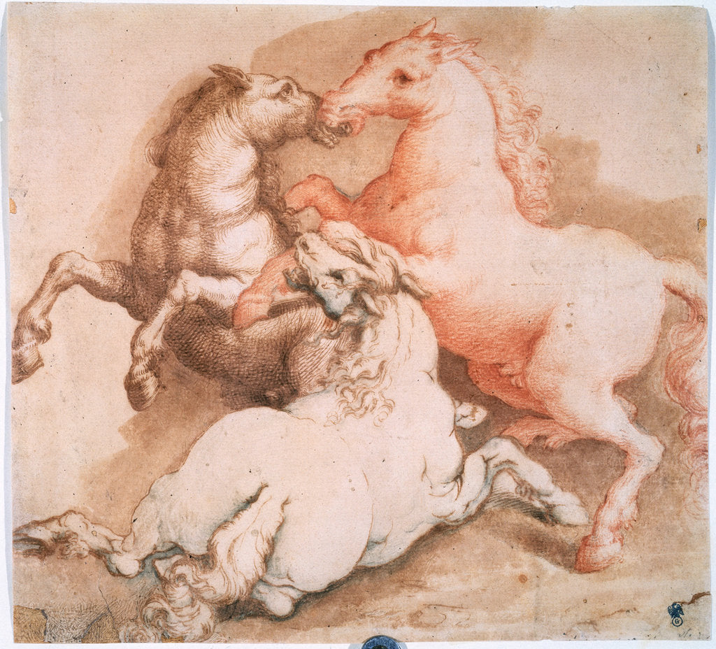 Detail of Fighting Horses, c1550-1600 by Unknown Old Master