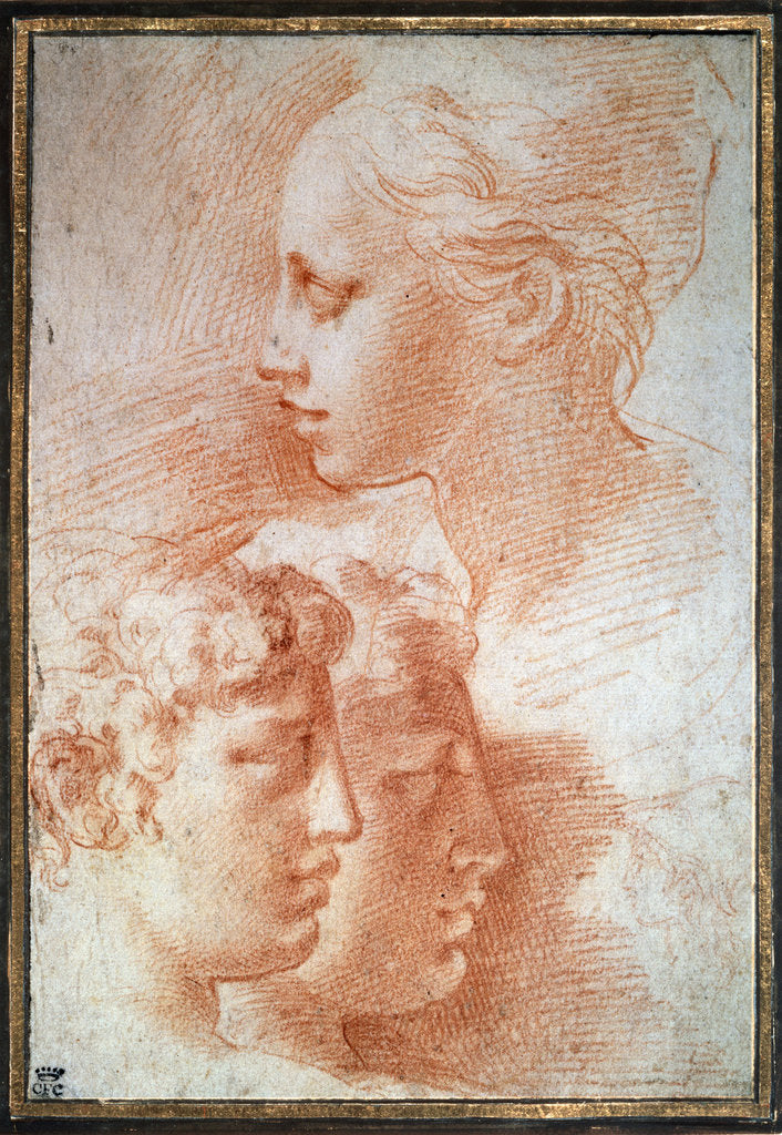 Detail of Study of the heads, c1527 by Parmigianino