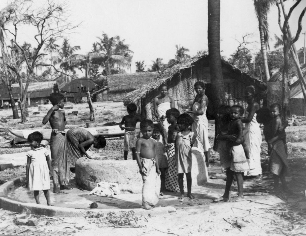 Detail of Village scene, Trincomalee, Ceylon by Anonymous