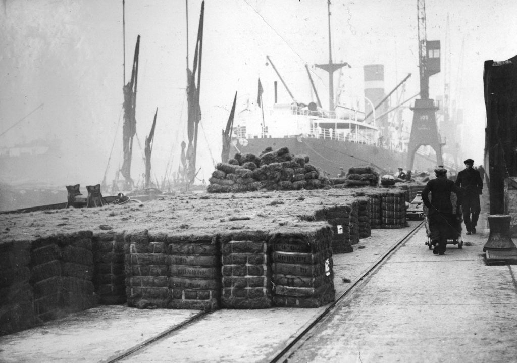 Detail of Coconut production by Anonymous