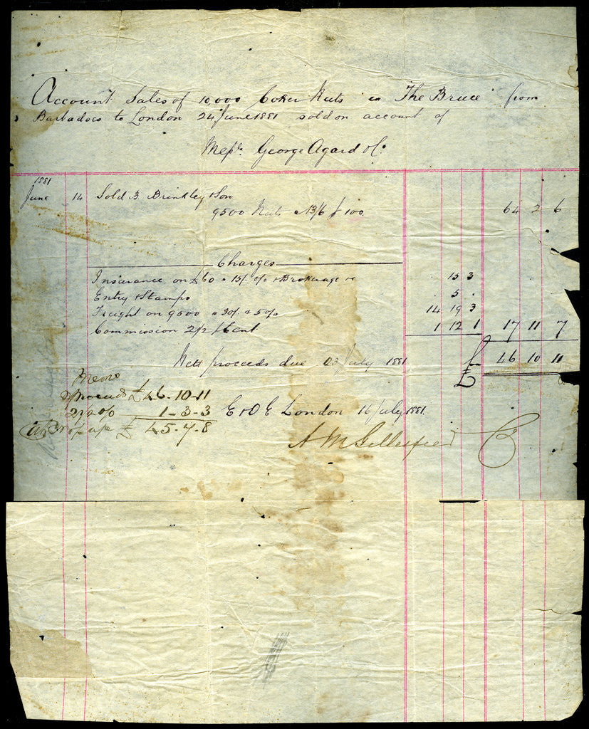 Detail of Coconut sales receipt, Barbados to London by Anonymous