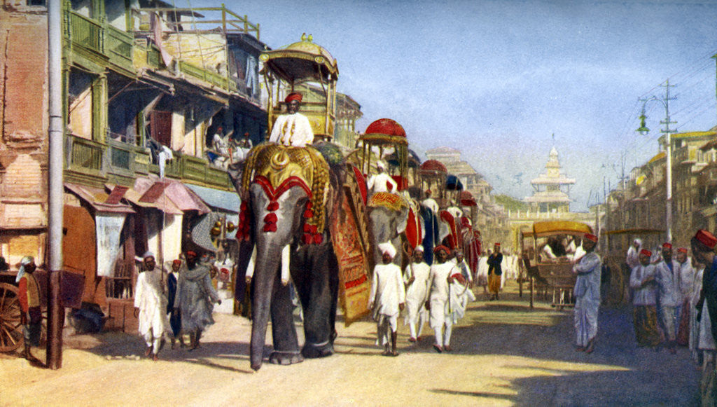 Detail of Gaekwar's state elephants, Manipuri Bazaar, Bombay, India by Anonymous