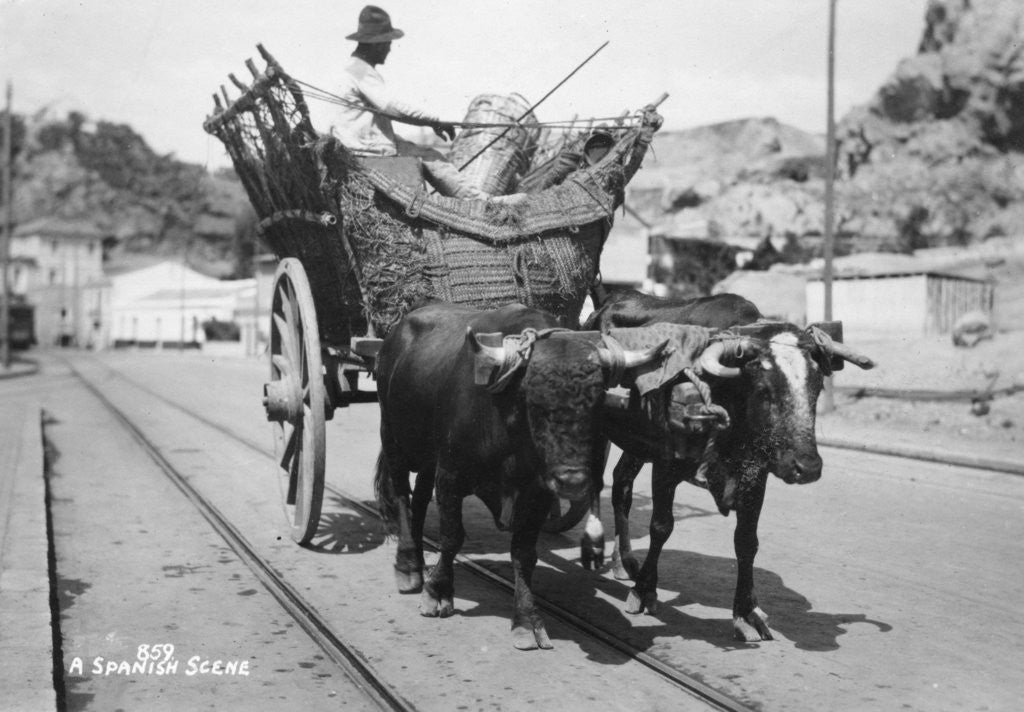 Detail of A Spanish scene by Anonymous
