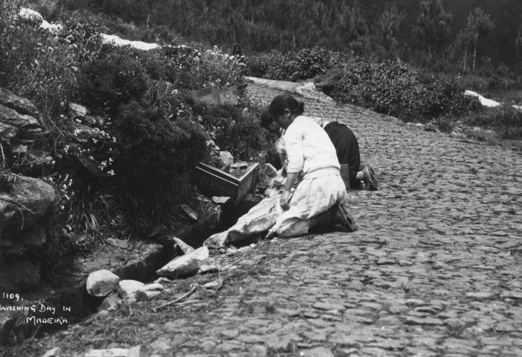 Detail of Washing day in Madeira, Portugal by Anonymous