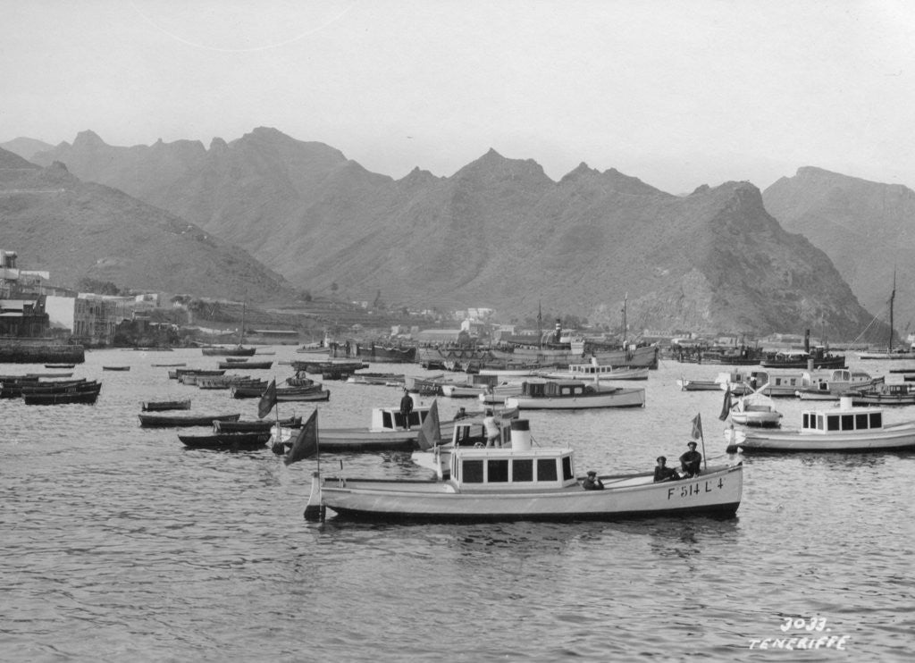 Detail of Tenerife, Canary Islands, Spain by Anonymous