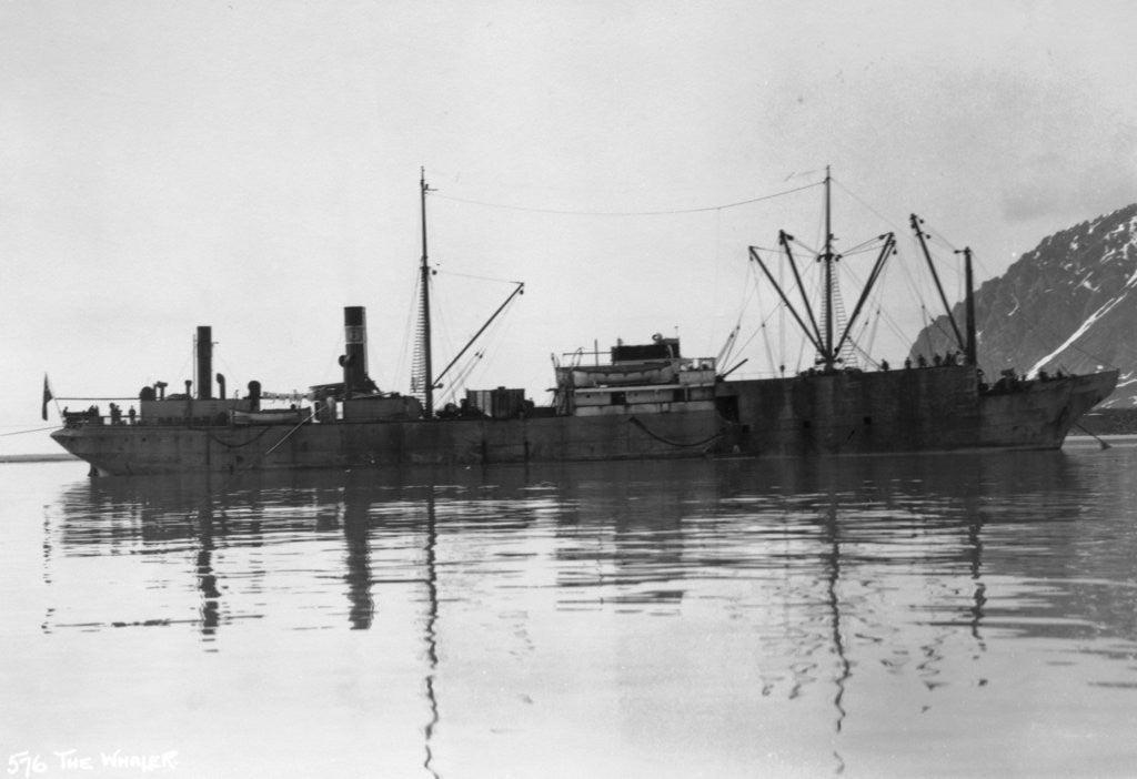 Detail of A whaler, Magdalene Bay, Spitzbergen, Norway by Anonymous