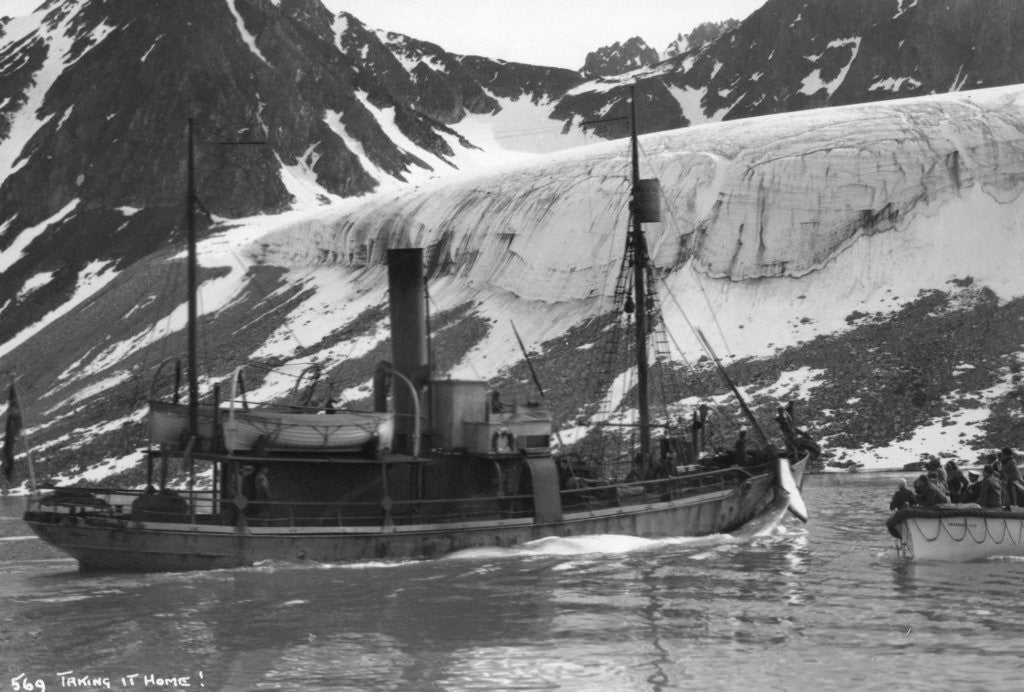 Detail of Whaling, Magdalene Bay, Spitzbergen, Norway by Anonymous