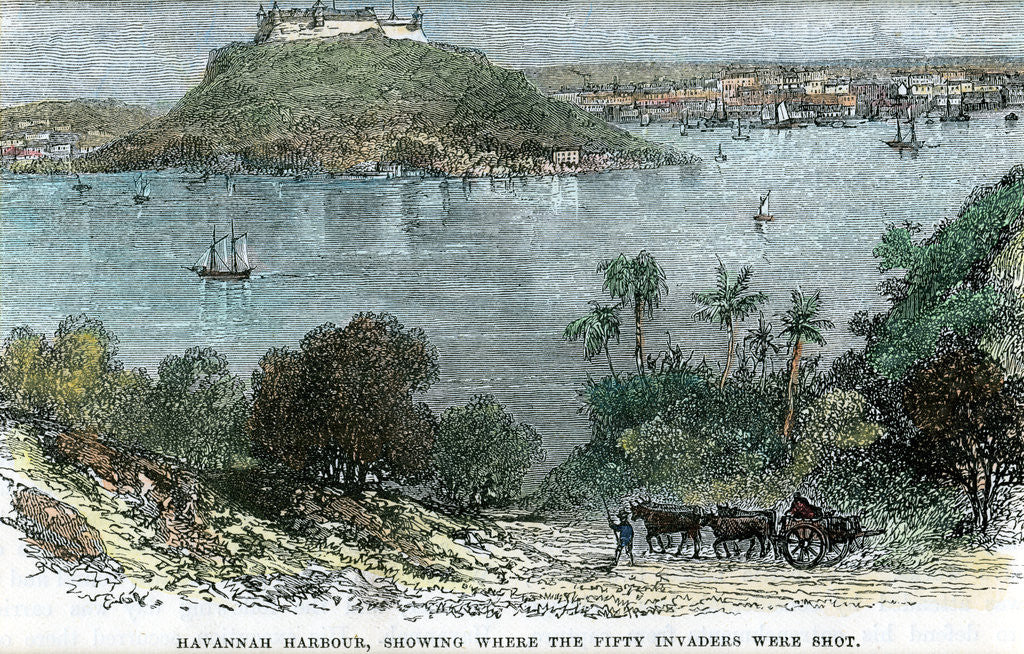 Detail of Havannah Harbour, showing where the fifty invaders were shot by Anonymous