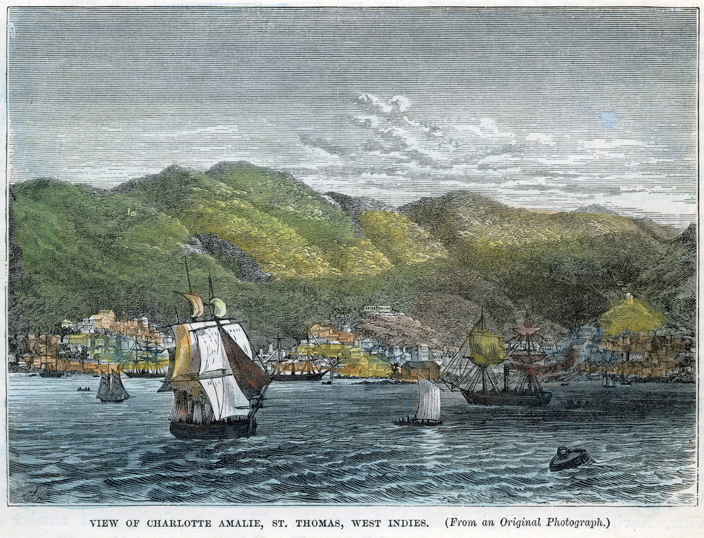 Detail of View of Charlotte Amalie, St Thomas, West Indies by Anonymous