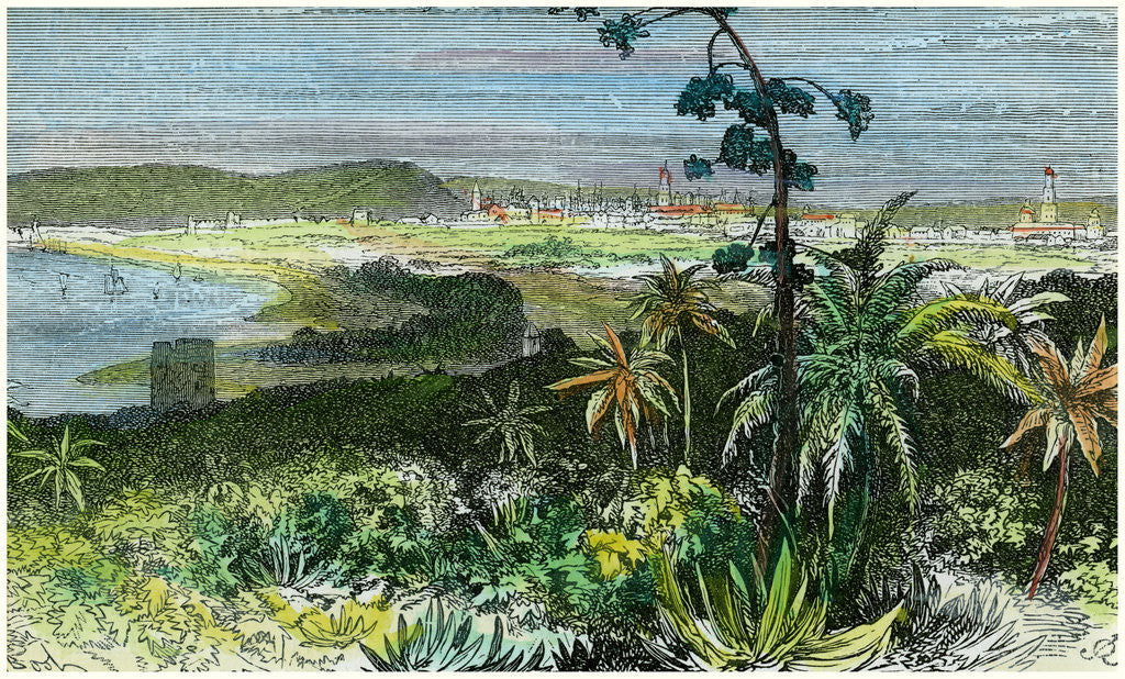 Detail of Havana, Cuba by Anonymous