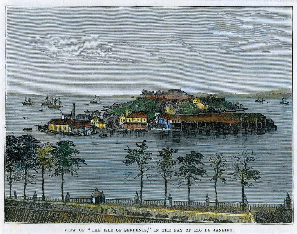 View of The isle of Serpents, in the Bay of Rio de Janeiro by Anonymous