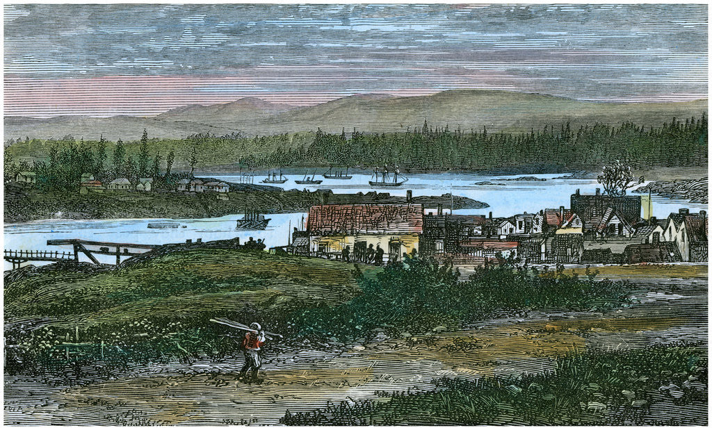 Detail of View of the western suburbs of Victoria, Vancouver Island, British Columbia, Canada by Anonymous