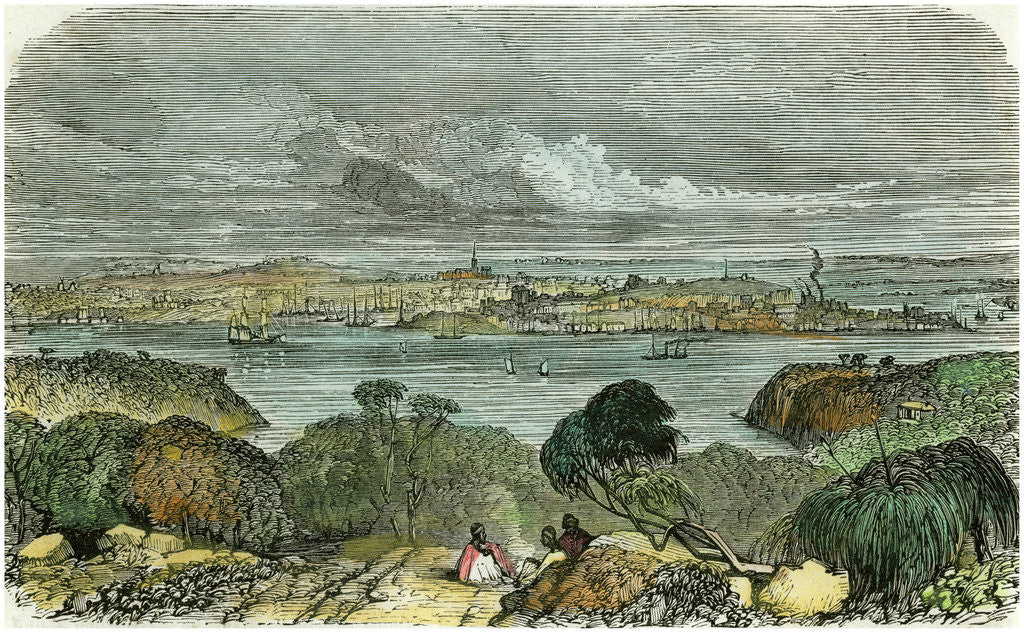 Detail of Sydney, New South Wales, Australia by Anonymous