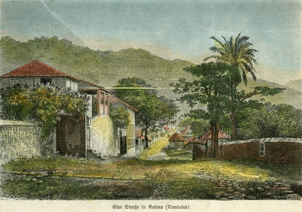 Detail of A street in Roseau, Dominica by Pann