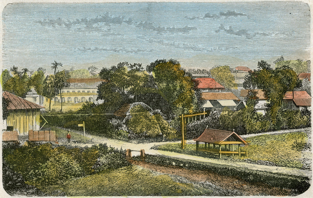 Detail of Tonga by Canedi Barberis