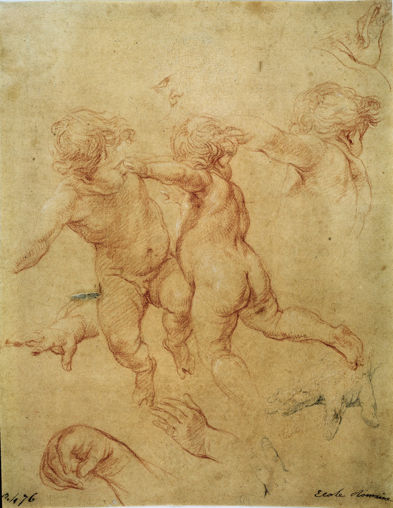 Detail of Two flying putti, study, 1740s by Pompeo Batoni