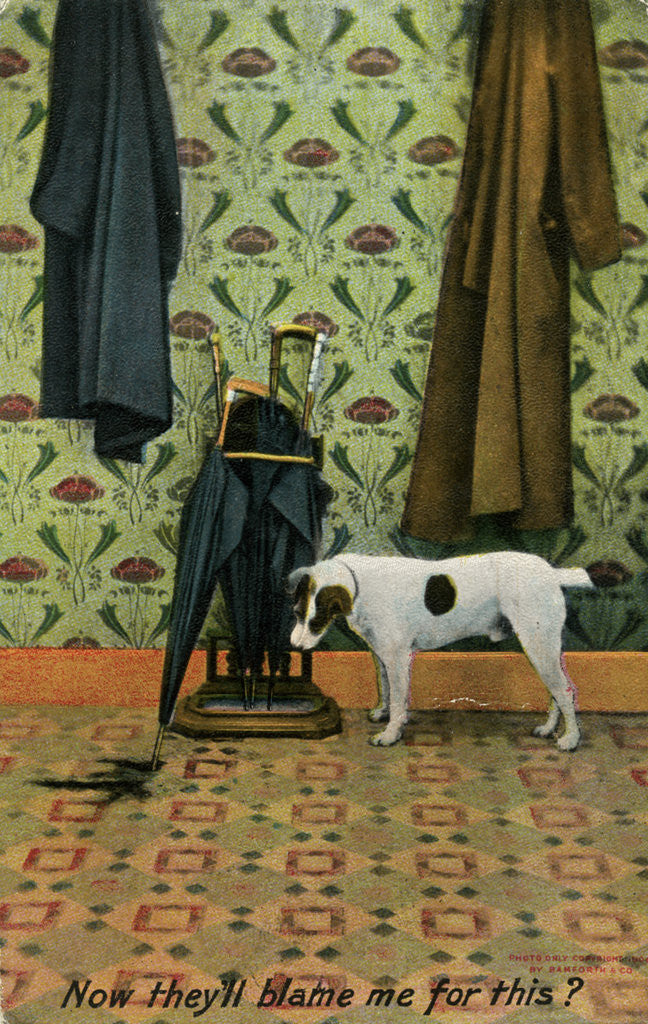 Detail of Now they'll blame me for this? by Holmfirth Bamforth and Co