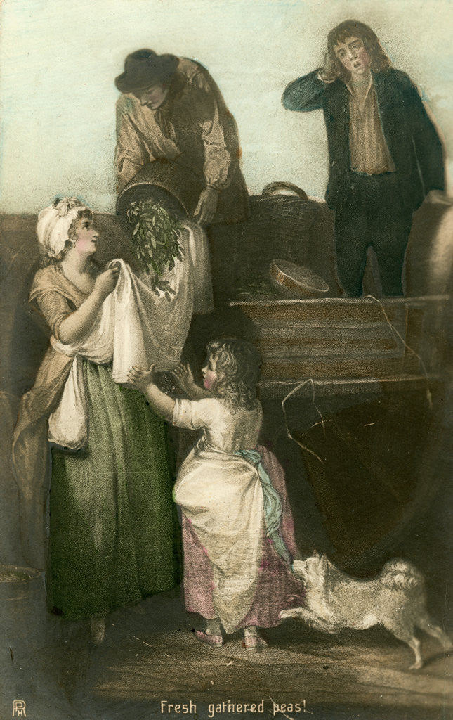 Detail of Fresh gathered peas by Rotophot