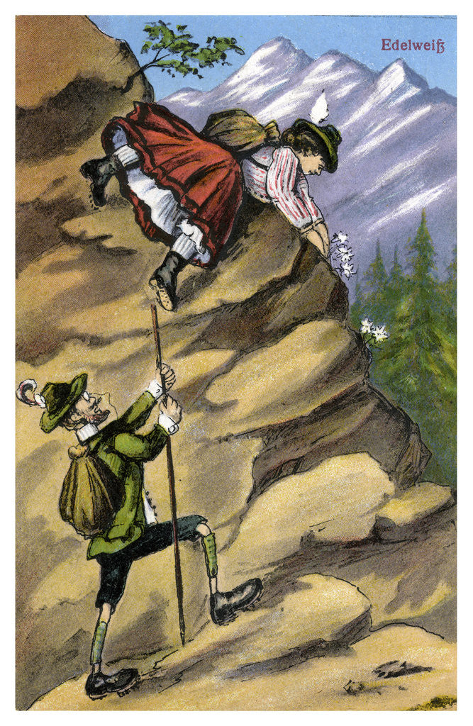 Detail of Edelweiss by Anonymous