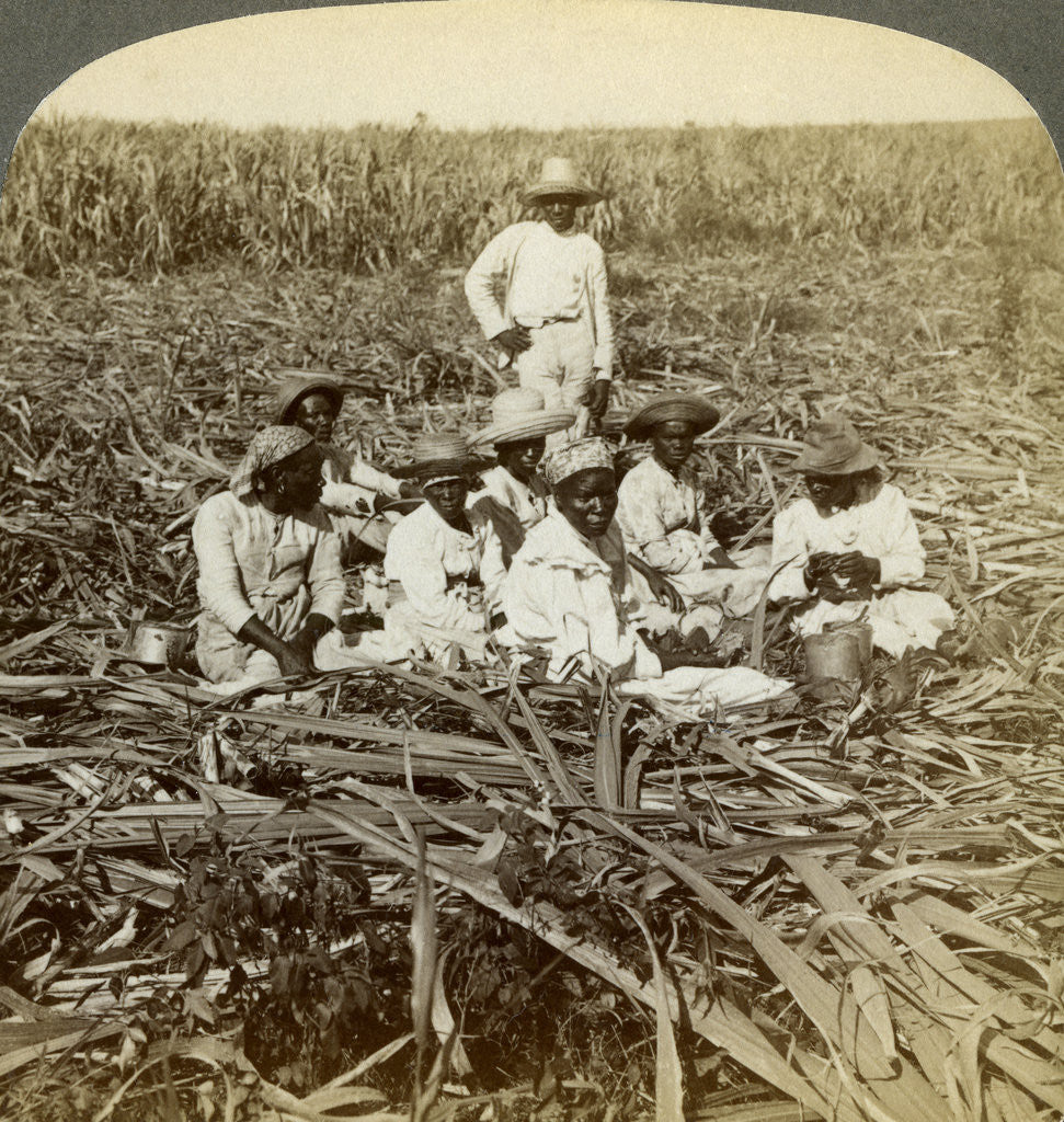 Detail of On 'La Union' sugar plantation, San Luis, Santiago Province, Cuba by Underwood & Underwood