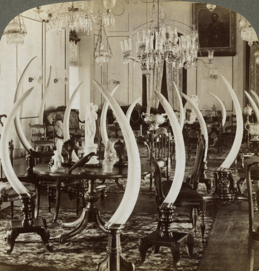 Detail of 'Hall of Tusks,' in the home of Lady de Soysa, Bambalapitiya, Colombo, Ceylon by Underwood & Underwood