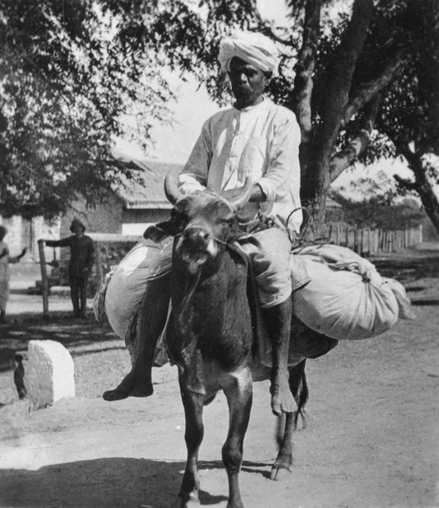 Detail of The laundry man, India by Cavanders Ltd
