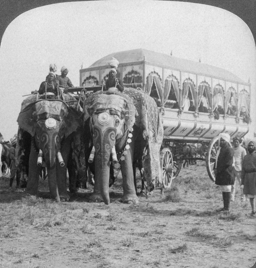 Detail of Richly adorned elephants and carriage of the Maharaja of Rewa at the Delhi Durbar, India by Underwood & Underwood