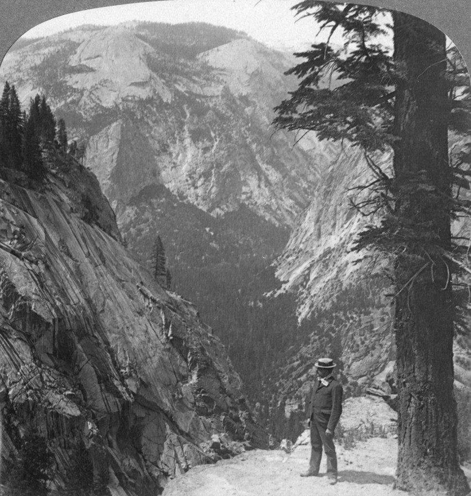 Detail of Yosemite Valley, California, USA by Underwood & Underwood